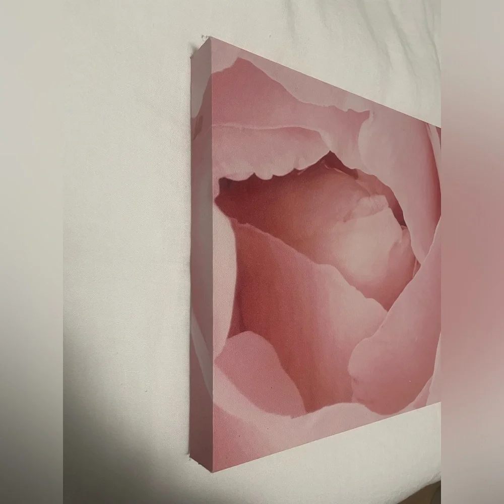Urban Outfitters Pink Floral Canvas Art
